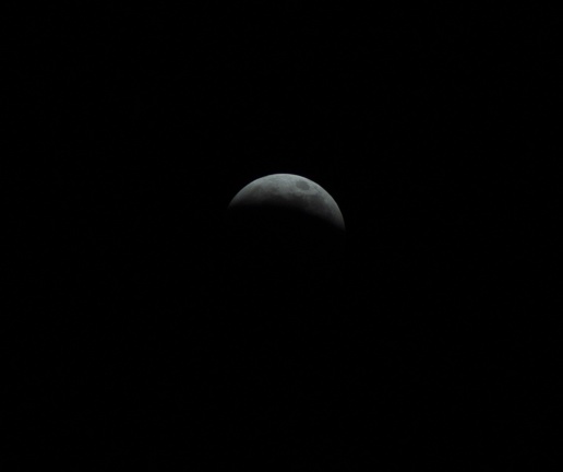 Lunar Eclipse | January 20, 2019 | Edgewood, KY