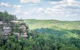 Lookout Point