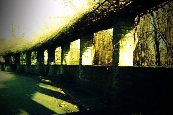 FxCam 1262551305713
