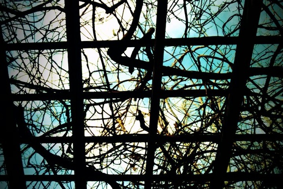 FxCam 1262551393535