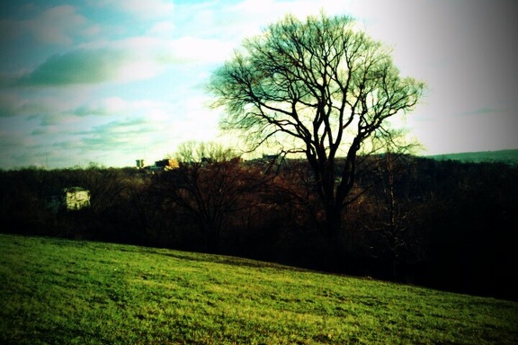 FxCam 1262553592586