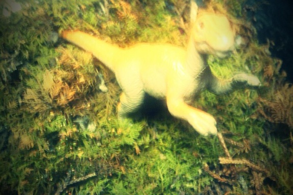 FxCam 1262661367591