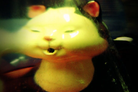 FxCam 1263600457334