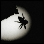 CameraZOOM-20121024133150328