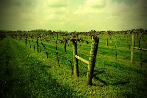 FxCam 1333484237734