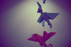 lomo-cranes