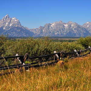 Wyoming - Yellowstone and Tetons