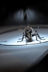 Trapped on a Hallmark