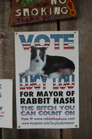 Vote-Lucy-Lou