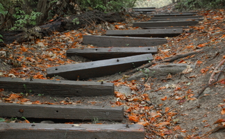 steps-askew