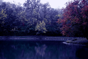 alex-park-lake