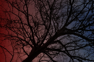 grad-tree