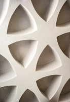 McDonald Memorial Library Ceiling, Xavier University