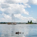 Ducks on Mirror Lake