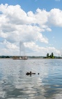 Ducks on Mirror Lake