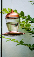 DSC 0091