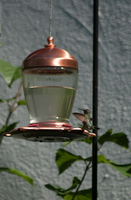 DSC 0188