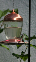 DSC 0194
