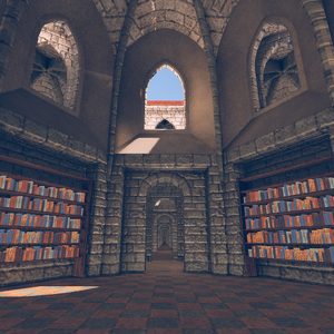 Libraries in Video Games