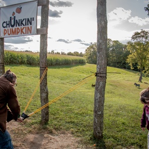 Country Pumpkin Farm, Fall 2020