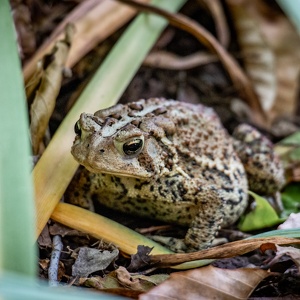 Cincinnati Nature Center