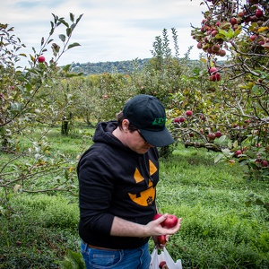 McGlasson Farms Apple Picking 2022
