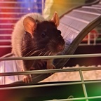 IMG 20240728 211227 672