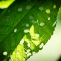 IMG 8719-2